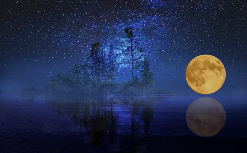 What The Moon Brings – New Wattpad&nbsp;Short!